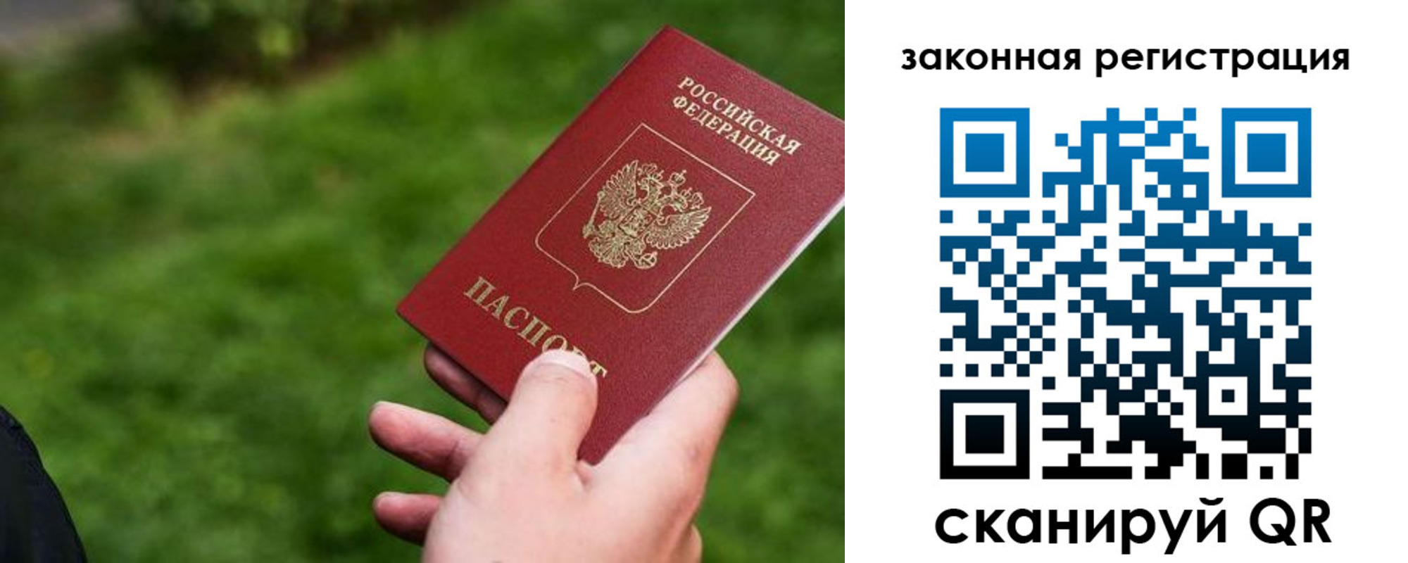прописка законно в Порхове